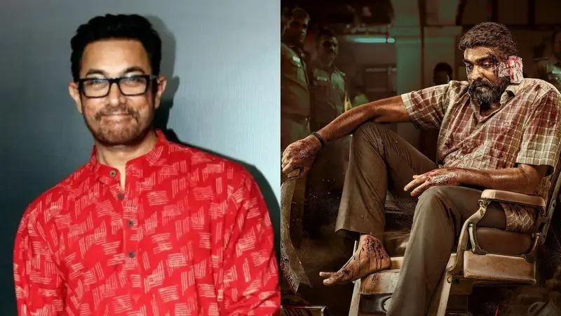 Is Remake Of Maharaja Bad Decision for Aamir Khan