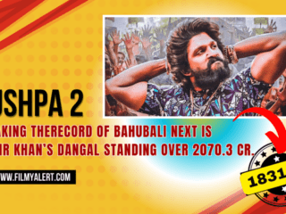 Pushpa 2 Box Office Collection